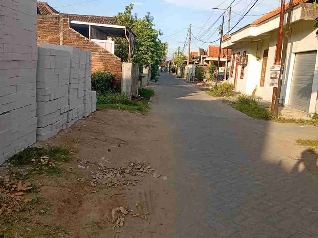 place photo 4