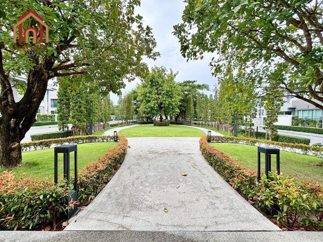 place photo 53