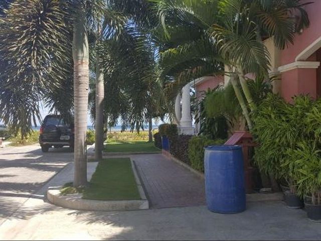 place photo 34