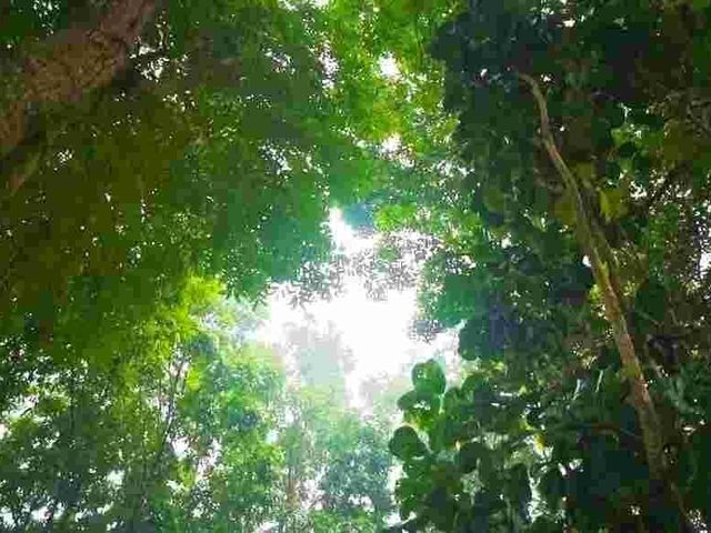 place photo 33