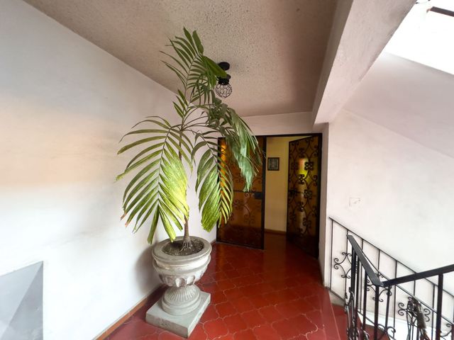 place photo 62