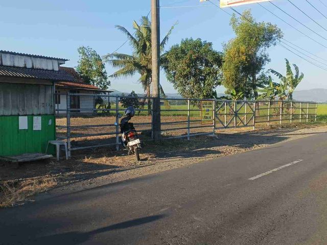 place photo 10