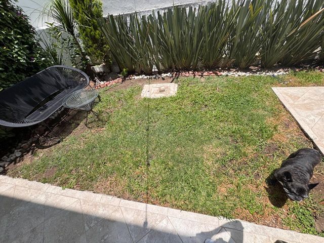 place photo 28