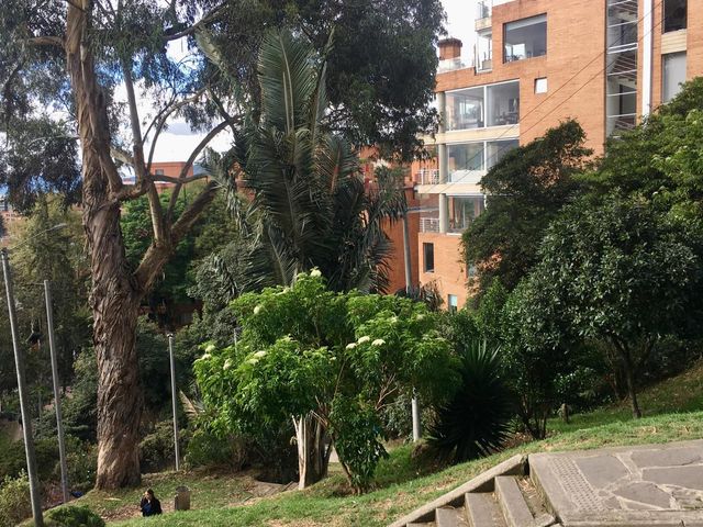 place photo 24