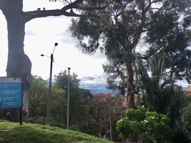 place photo 23