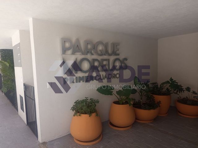 place photo 21