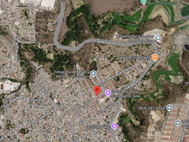 place photo 13