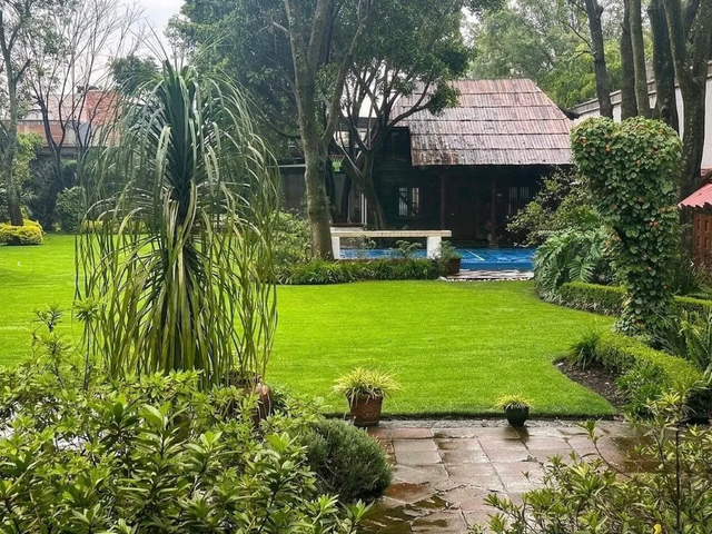 place photo 47