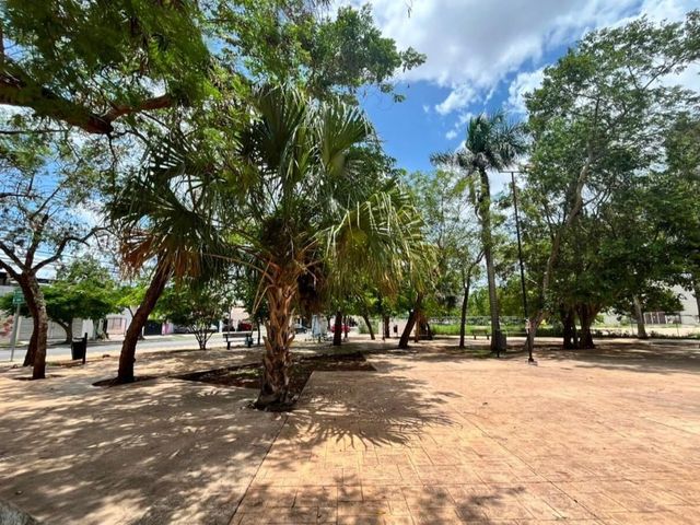place photo 9