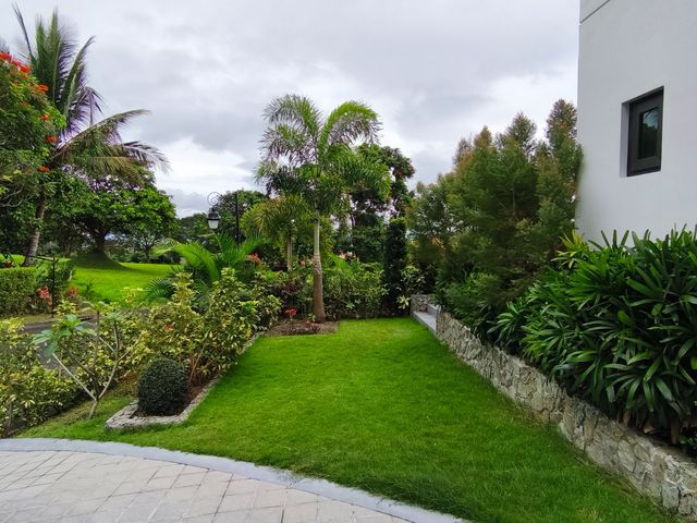 place photo 58
