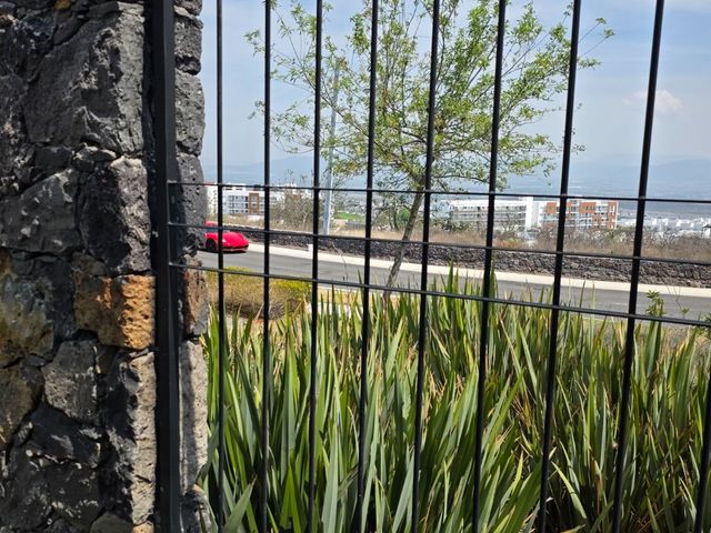 place photo 59