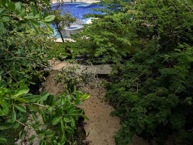 place photo 27
