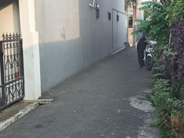 place photo 7