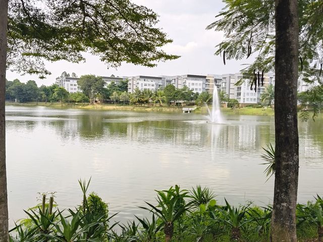 place photo 20