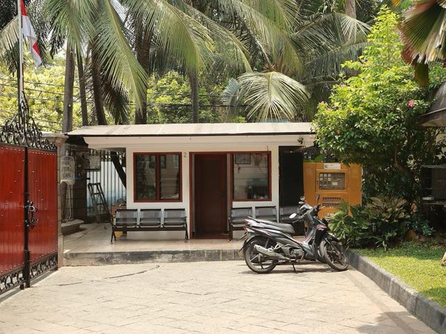 place photo 17