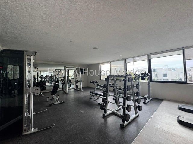 place photo 41