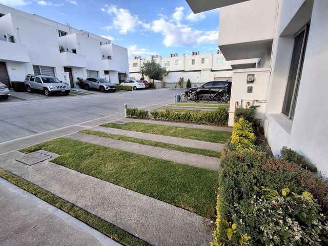 place photo 26