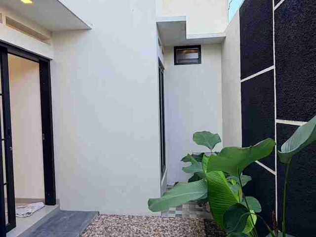 place photo 26