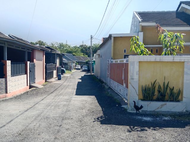 place photo 11