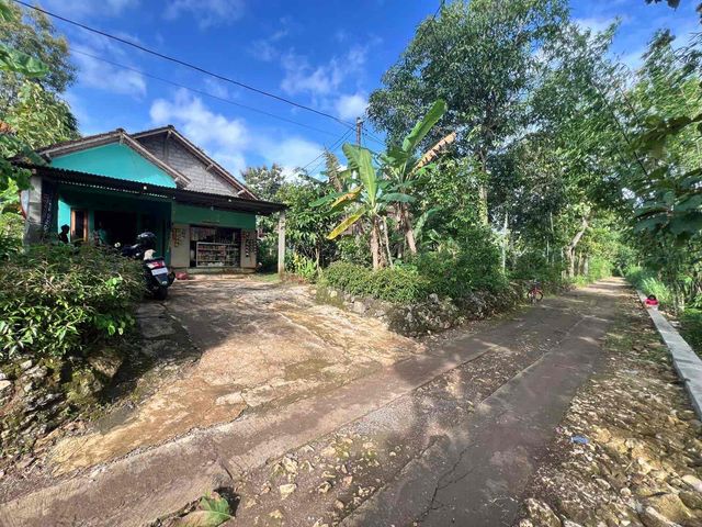 place photo 13