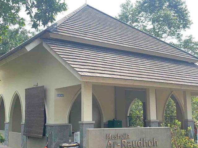 place photo 14