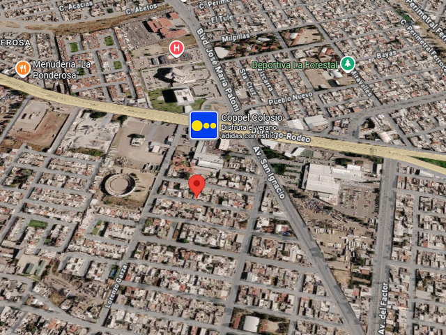 place photo 10