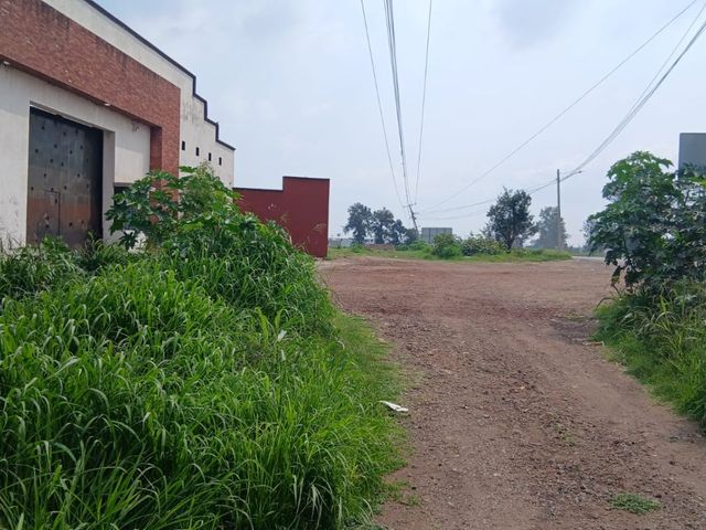 place photo 12