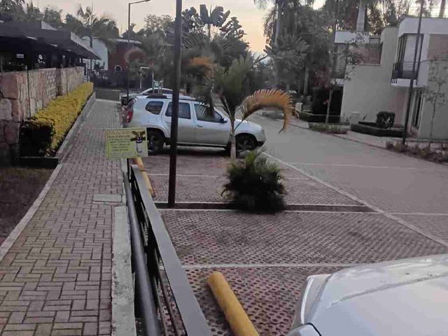 place photo 17