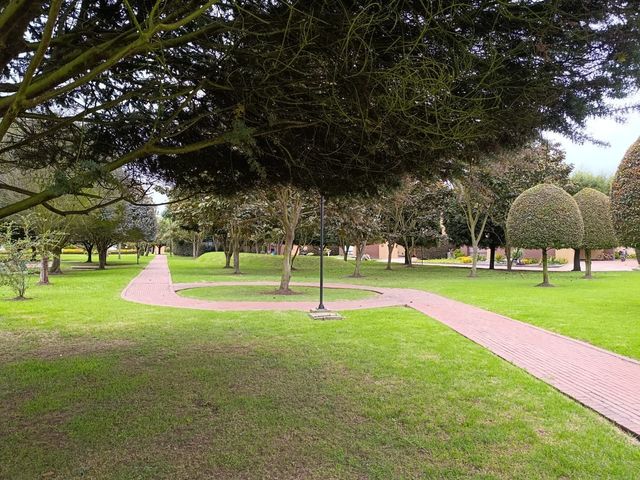 place photo 32