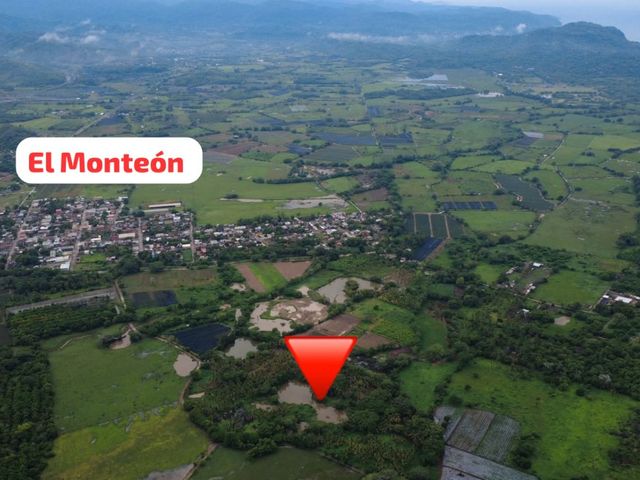 place photo 10