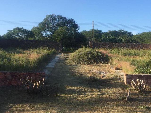 place photo 39