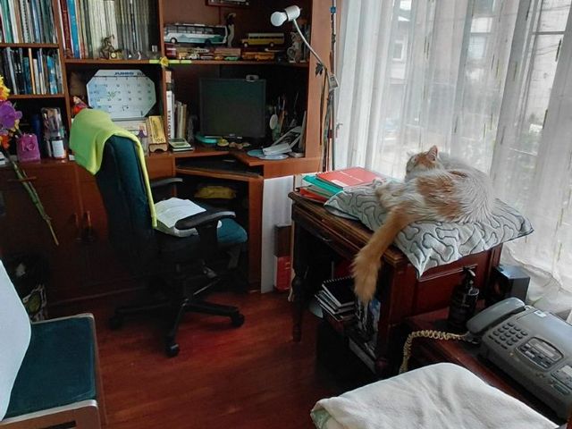 place photo 25