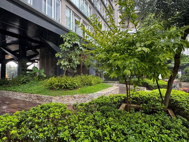 place photo 30