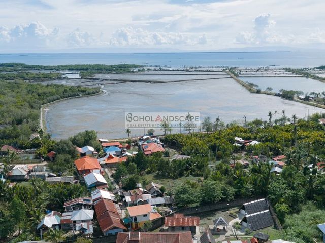 place photo 35