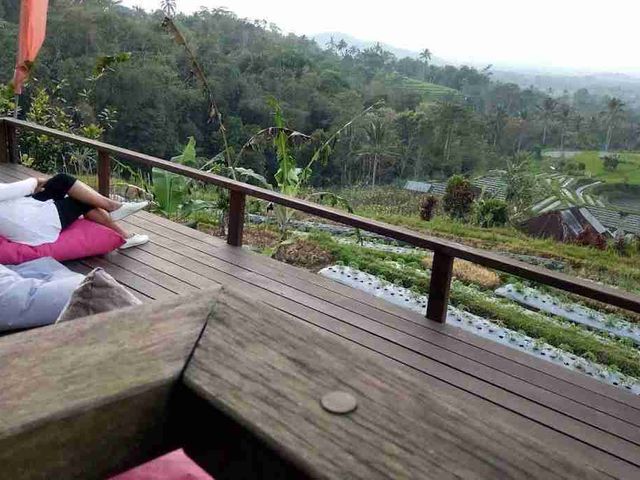 place photo 37