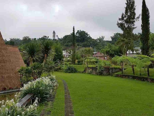 place photo 38