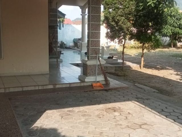 place photo 7