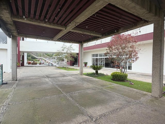place photo 46