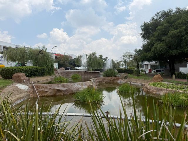 place photo 31
