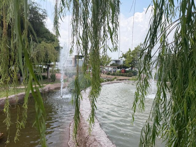 place photo 36