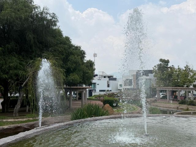 place photo 37