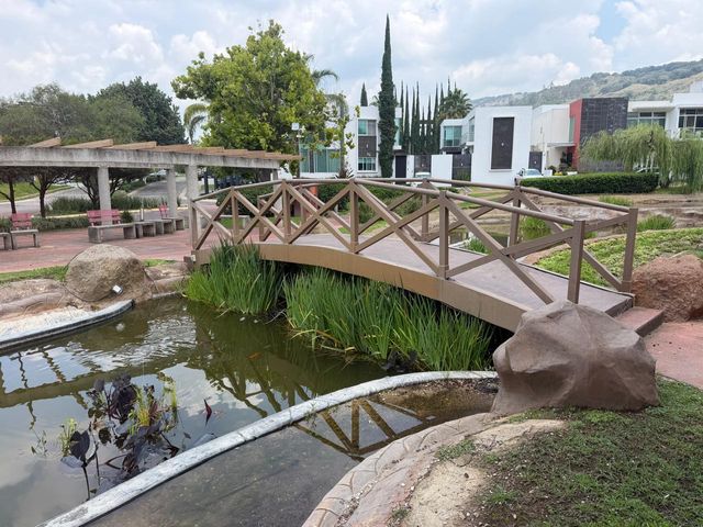 place photo 41