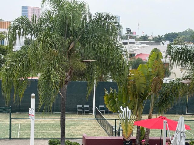 place photo 44
