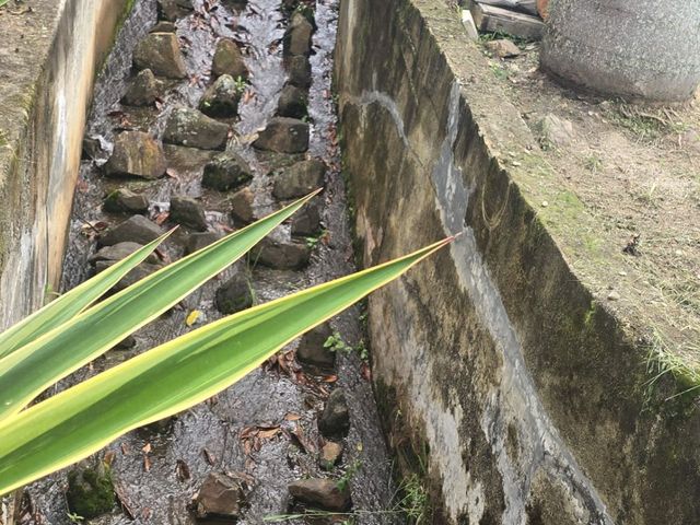 place photo 62