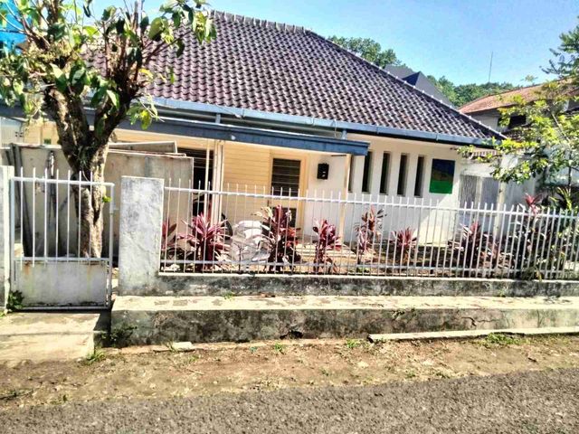 place photo 21