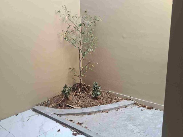 place photo 42