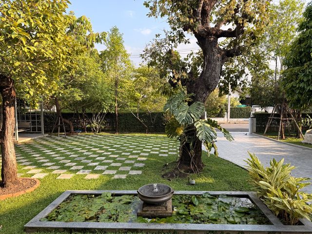 place photo 69