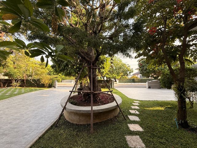 place photo 73