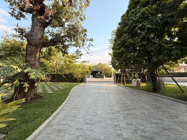 place photo 74