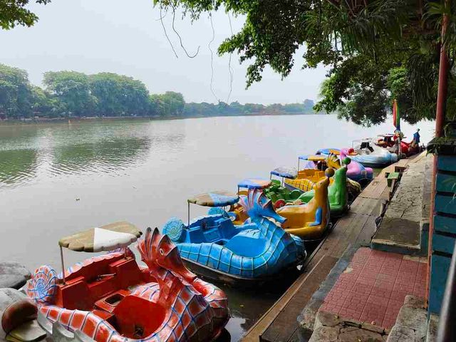place photo 17